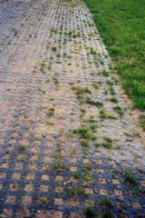 Piste en herbe renforcee apres la pose